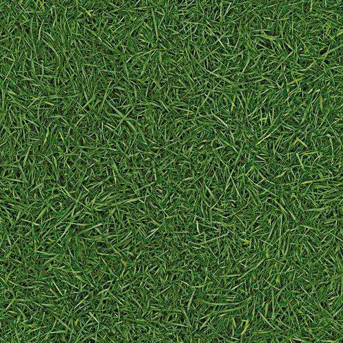 Линолеум бытовой "IVC" Neo Grass 25 (4м) — купить в Екатеринбурге
