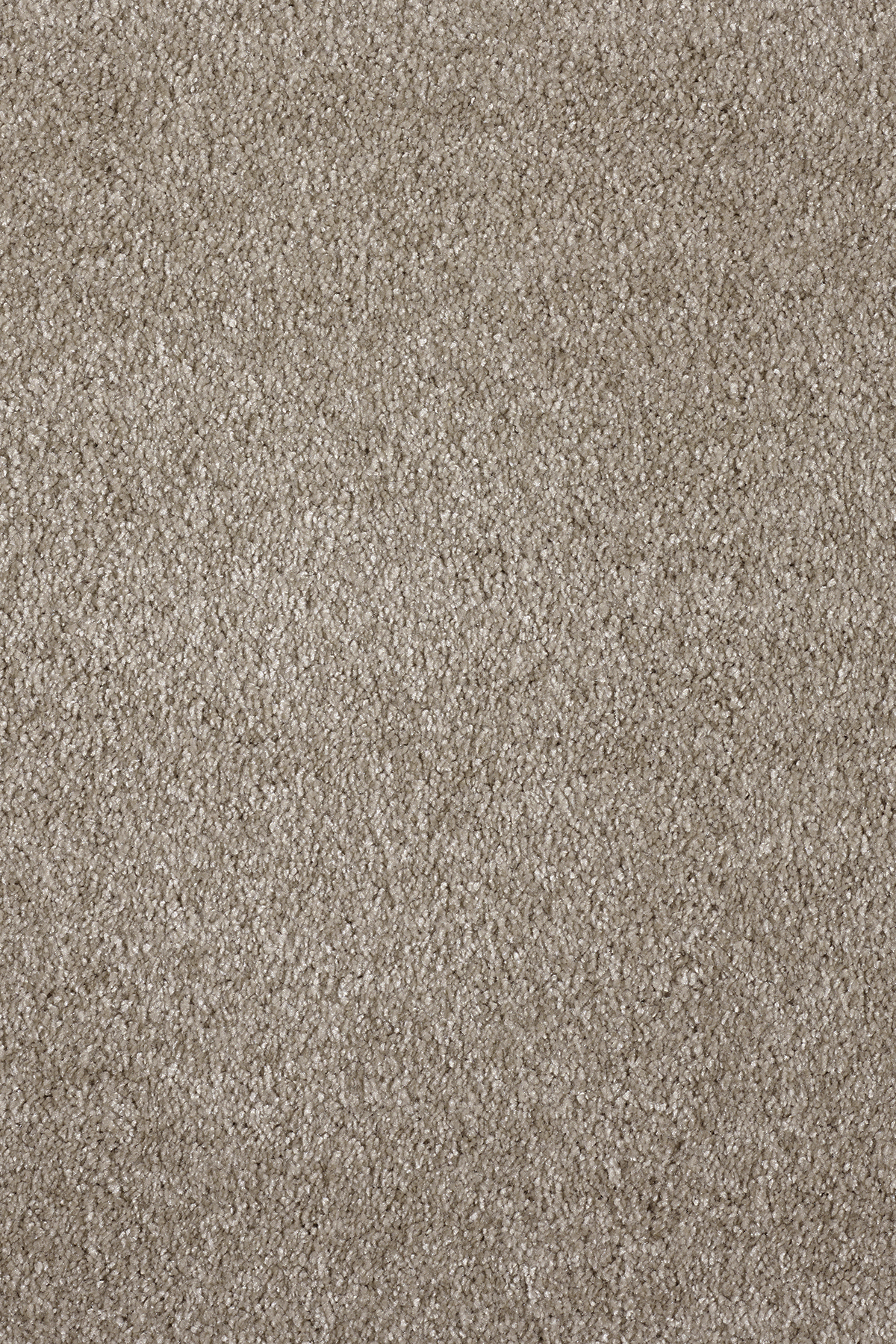 Ковровое покрытие "Bonkeel" Parana 34 (ширина 4м/5м) — купить в Екатеринбурге